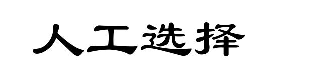 人工选择