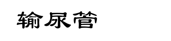 输尿管