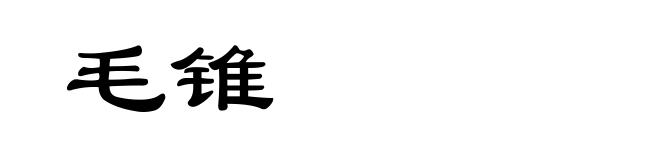 毛锥