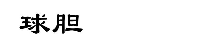 球胆