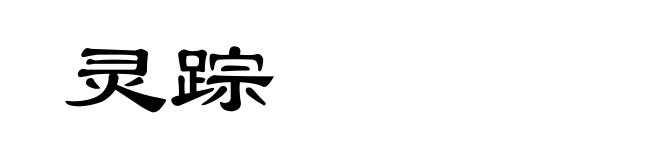 灵踪