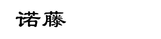 诺藤