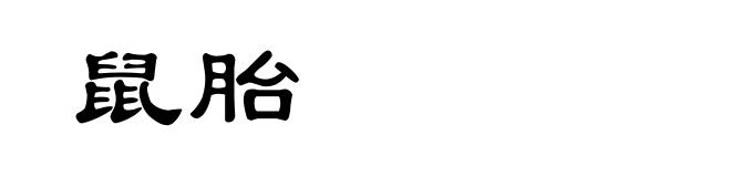 鼠胎