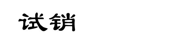 试销