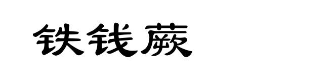 铁钱蕨