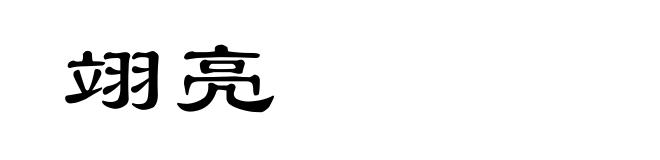 翊亮