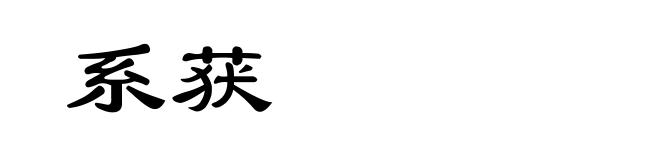 系获