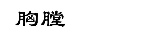 胸膛