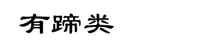 有蹄类
