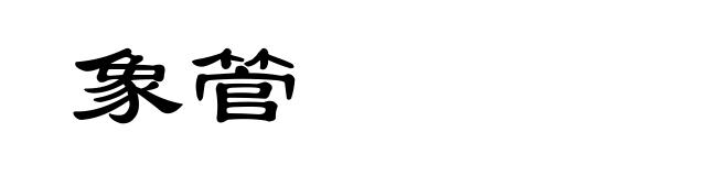 象管