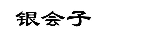 银会子