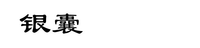 银囊