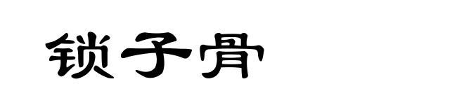 锁子骨