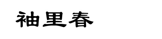 袖里春