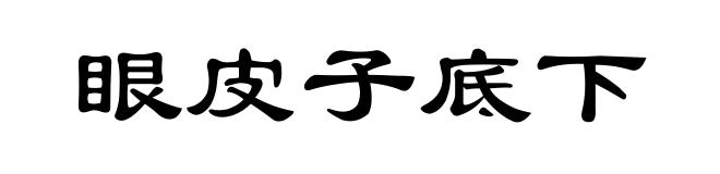 眼皮子底下