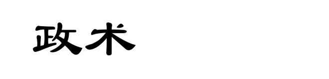 政术