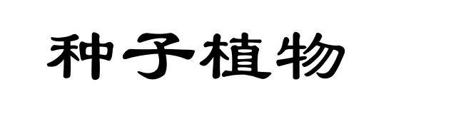 种子植物