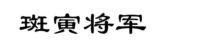斑寅将军