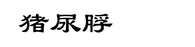猪尿脬