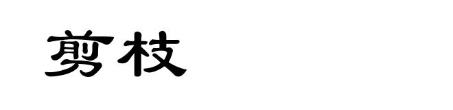 剪枝