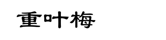 重叶梅