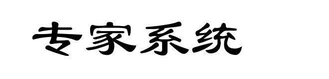 专家系统
