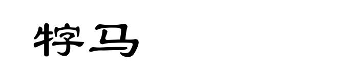牸马