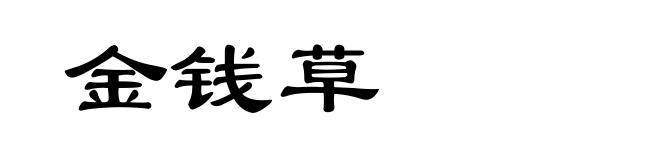 金钱草