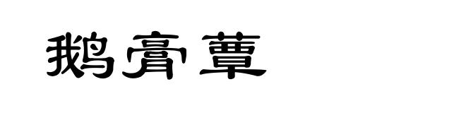 鹅膏蕈