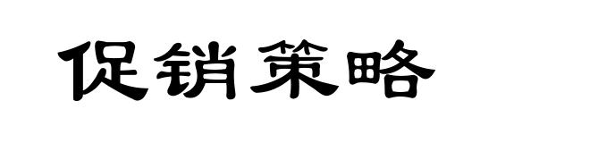 促销策略