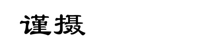 谨摄
