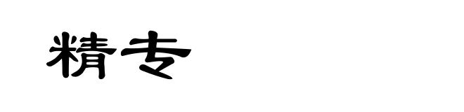 精专