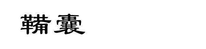 鞴囊