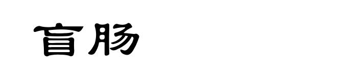盲肠
