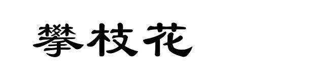 攀枝花