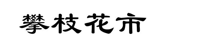 攀枝花市