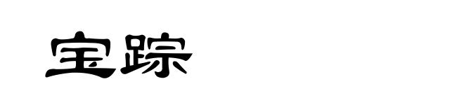 宝踪
