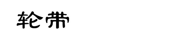 轮带