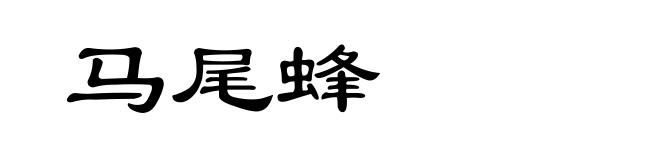 马尾蜂