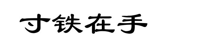 寸铁在手