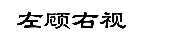 左顾右视