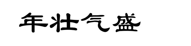 年壮气盛
