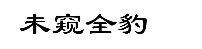 未窥全豹