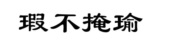 瑕不掩瑜
