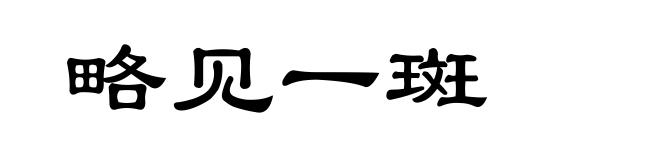 略见一斑