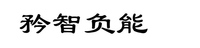 矜智负能