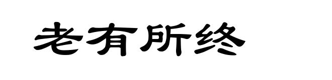 老有所终