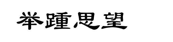 举踵思望