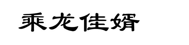乘龙佳婿