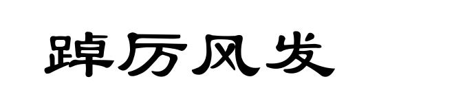踔厉风发